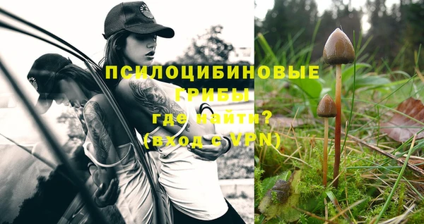 каннабис Абинск